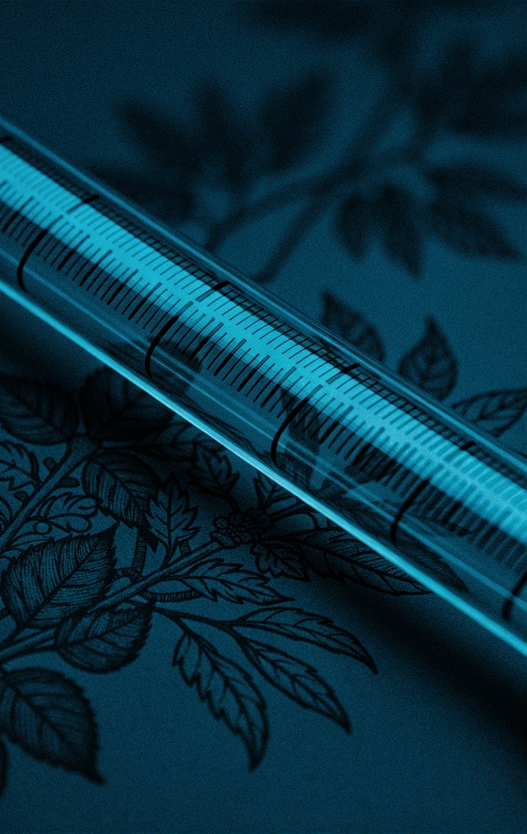 Archival botanical study